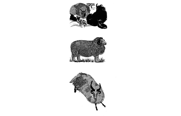 Three Sheep, by Sarah van Niekerk